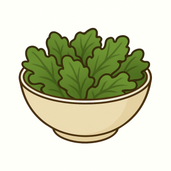 Salade verte