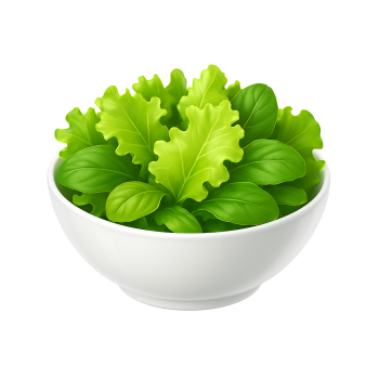 Salade verte